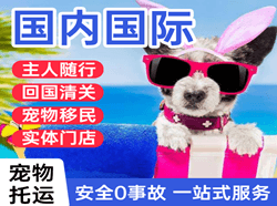 山南隆子航空邮寄国际宠物托运 【国
